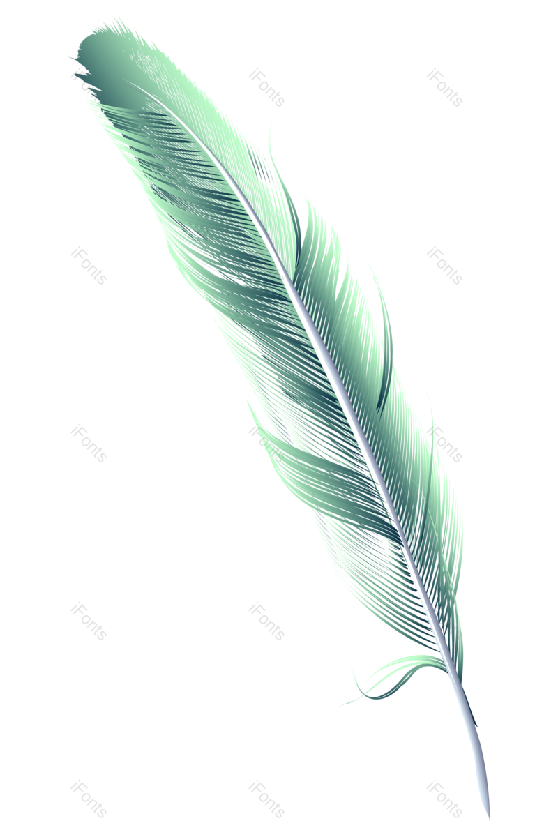 矢量元素图片,羽毛元素,PNG,免抠素材